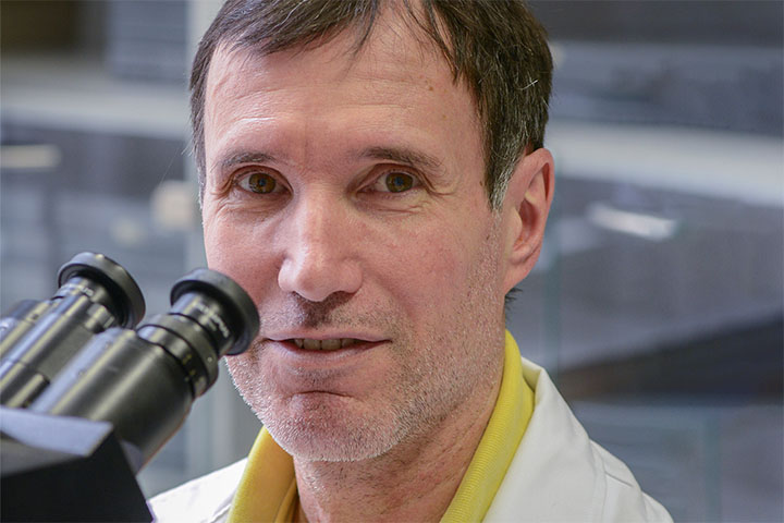 Lorenzo Cerroni