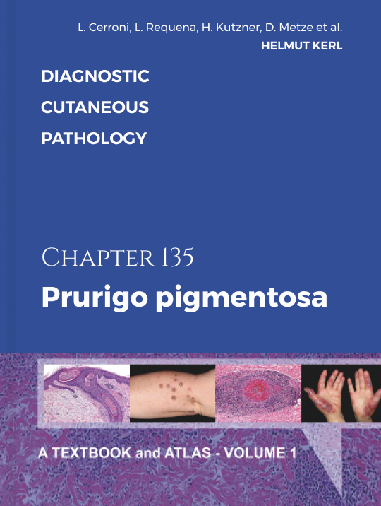 chapter_spacer